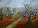 Olivenhain - Provence
