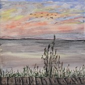 Am See