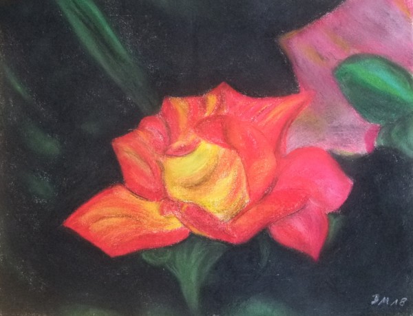 Rose