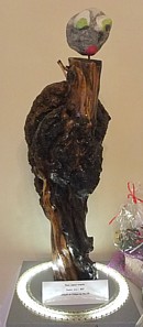 Corporis incognita
