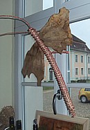 Hainbuchenfalter