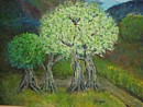 Olivenb�ume