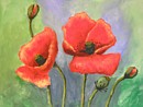 Mohn