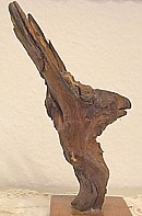 Esel von Lu